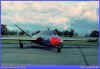 11-28.jpg (71655 Byte)