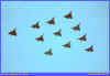 11-36.jpg (30413 Byte)