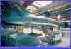 11-38.jpg (91544 Byte)