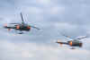 21-14.jpg (38120 Byte)