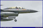 Falcon-07.JPG (61969 Byte)
