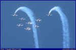 PAF-04.JPG (40049 Byte)
