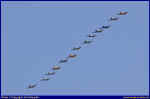 Tora-11.JPG (30071 Byte)