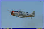Tora-15.JPG (38690 Byte)