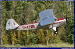 Auster-01.JPG (143242 Byte)