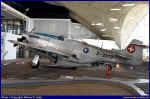 Mustang-01.JPG (116593 Byte)