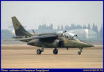 RTAF-088-011.jpg (45097 Byte)