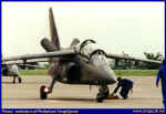 RTAF-088-013.jpg (47495 Byte)