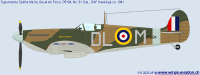91-Sqn-1941-01.png (76069 Byte)