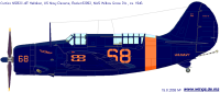 Curtiss NARW 1.png (93570 Byte)